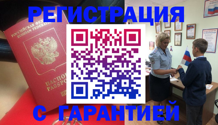 временная регистрация надежно в Камчатской области